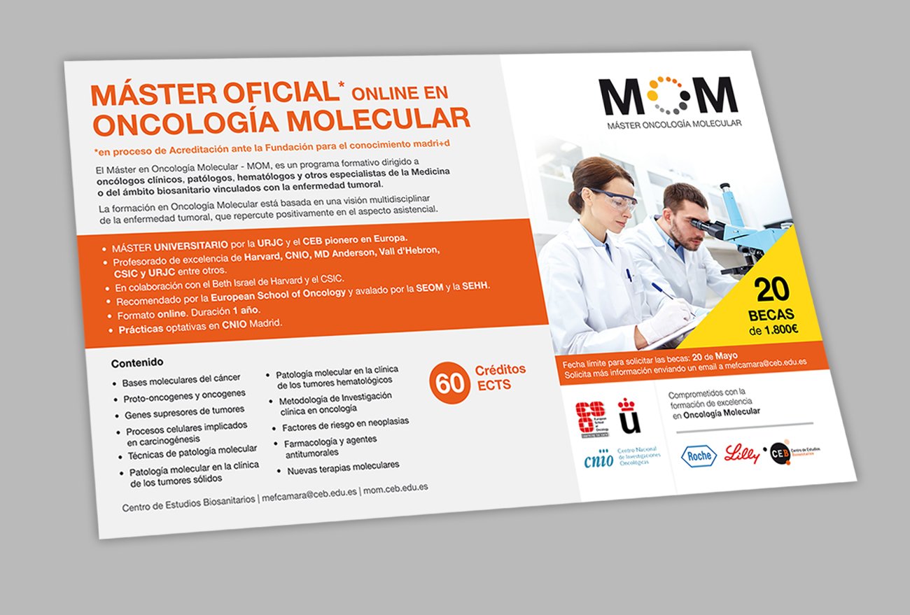 mom-revista