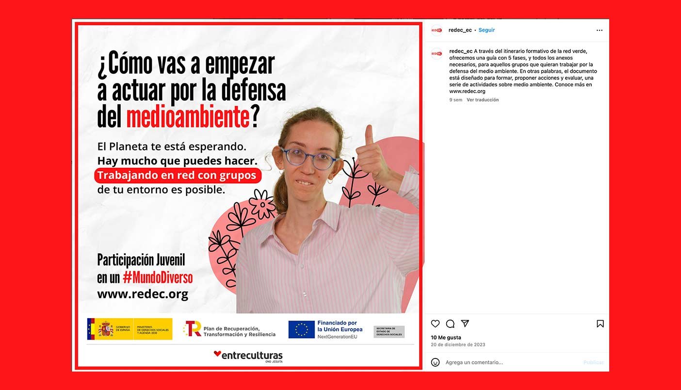 disciplina contenidos redes sociales