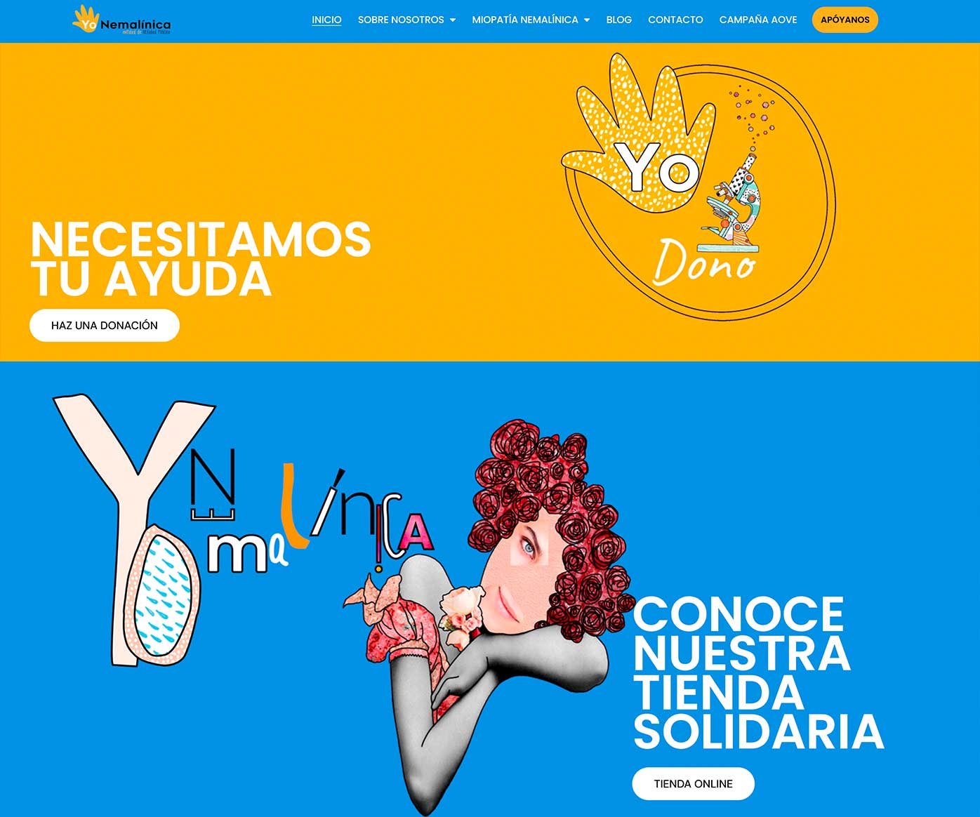 diseño de páginas web para ONG